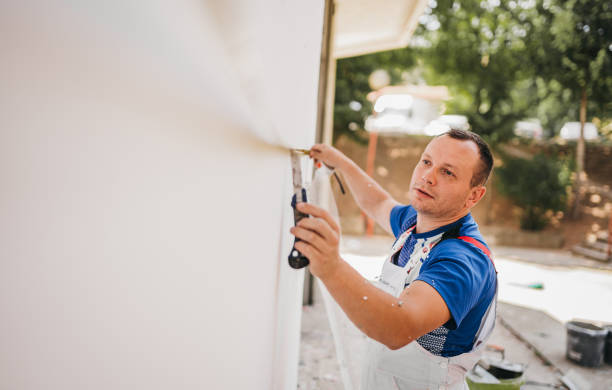 Best Wall Insulation Installation  in Romney, WV